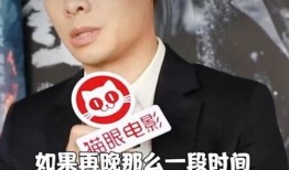 关于张译的爆料新闻,揭秘娱乐圈背后的真实故事